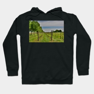 Spring Landscape Near Cividale del Friuli Hoodie